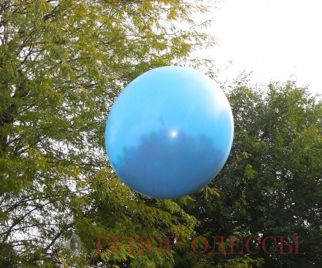 А в это время перед входом в Космо-Зоо продолжал созревать Гигантский Пузырчатник с планеты Пандора