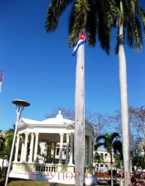 Два национальных символа вместе - на стволе королевской пальмы, как на флагштоке, развевается государственный флаг.    