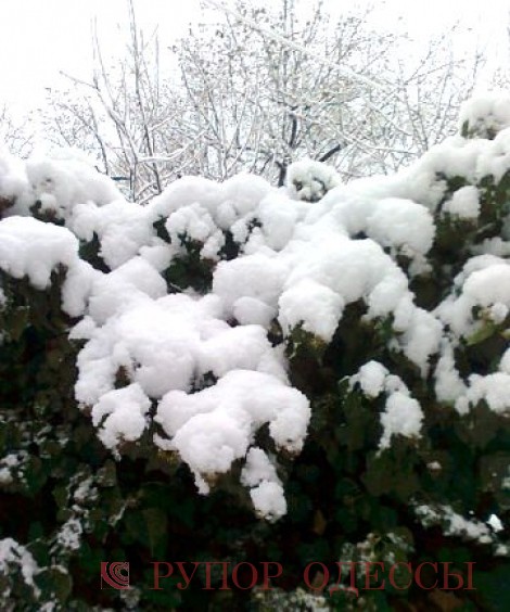 Одесская область. Измаил засыпан снегом.